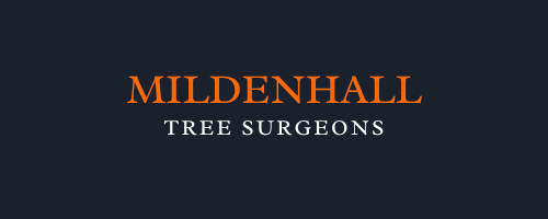 Mildenhall Tree Surgeons